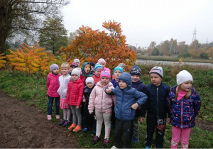 Przedszkolaki podziwiają jesienne widoki.