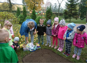 Biedronki upiększają krajobraz