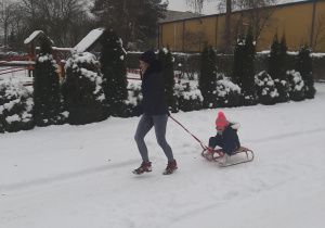 Nauczycielka ciągnie na sankach przedszkolaka.