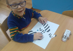 Chłopczyk układa na kartonie sylwetkę zebry z kilku elementów.