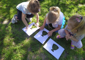Dzieci na placu zabaw przedszkolnym wykonują pracę plastyczną „Kolorowanie naturą”. Dziewczynki z wyciętymi szablonami sukienek balowych, układają je na trawie, w ten sposób bez użyci kredek wypełniają szablon kolorem zielonej trawy.