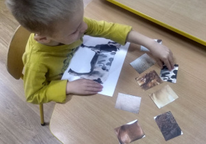 Chłopiec układa ilustrację krowy.