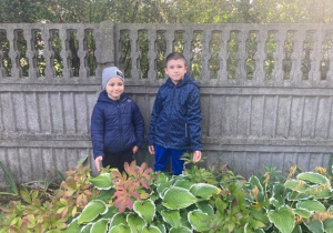 Dwóch chłopców obserwuje roślinki rosnące przed przedszkolem.
