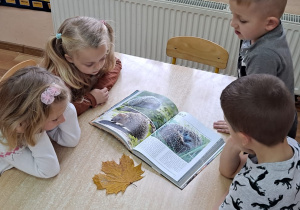 Czworo dzieci ogląda książkę pt. "Życie zwierząt", poszerzając wiadomości o jeżowym świecie.