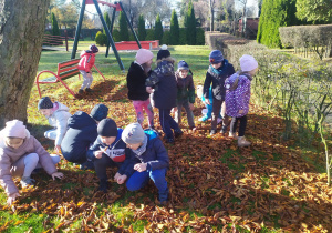 11 przedszkolaków szuka w liściach w ogrodzie przedszkolnym legowiska jeża.
