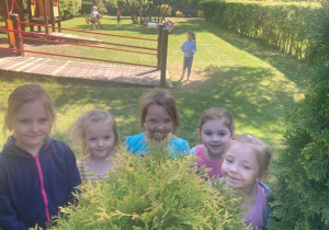 Grupa na terenie ogrodu przedszkolnego szuka inspiracji w przyrodzie.