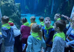 Przedszkolaki oglądają wodny świat w Orientarium.