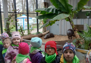 Grupa dzieci obserwuje hipopotamy.