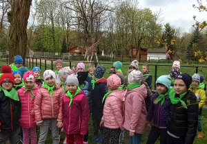 Przedszkolaki na tle wybiegu z żyrafami.