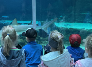 23.04.2025 r. Wycieczka do ZOO w Łodzi grupy Słoneczka.