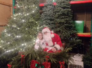 10.12.2025 r. Wycieczka grupy Słoneczka i Biedronki do Sadów Klemensa