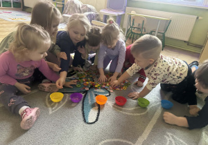Grupa dzieci segreguje guziki według kolorów do miseczek w kolorach: żółty, fioletowy, pomarańczowy, zielony, czerwony,niebieski.